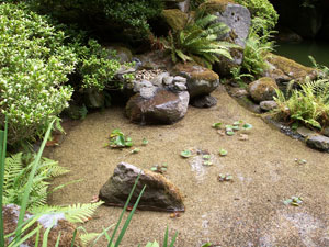 Water Covered Rocks